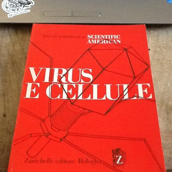 Virus e cellule