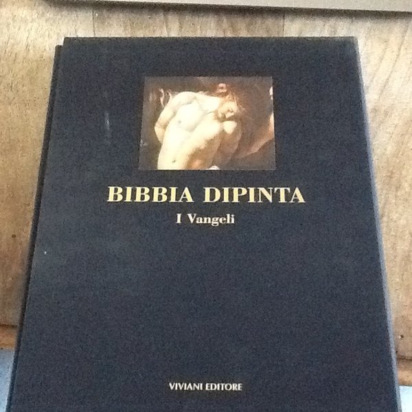 Bibbia Dipinta I Vangeli