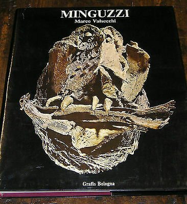 Minguzzi