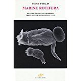 Marine Rotifera