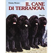 Il cane di Terranova