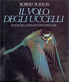 Il volo degli uccelli