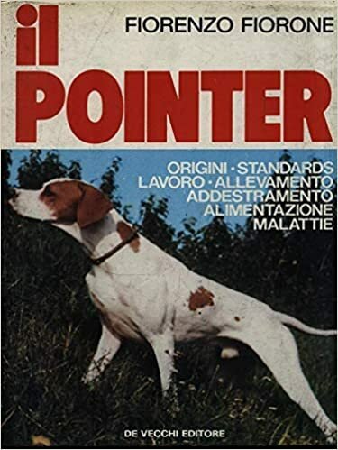 Il Pointer