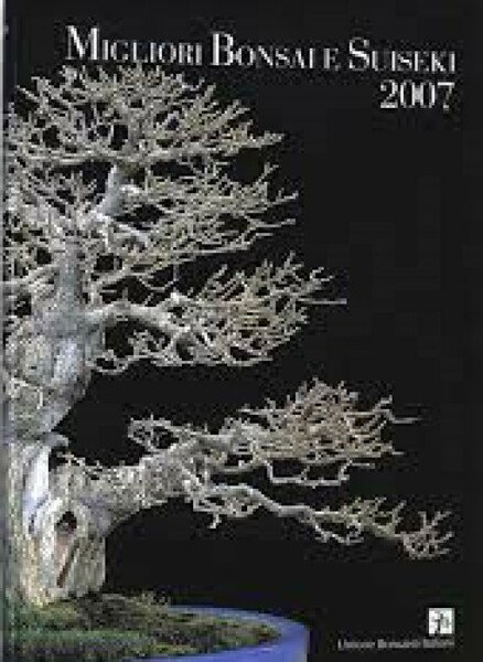 Migliori Bonsai e Suiseki 2007