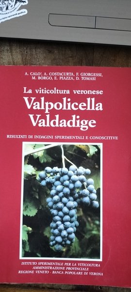 La viticoltura veronese Valpolicella Valdadige