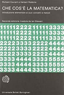 Che cos'è la matematica?