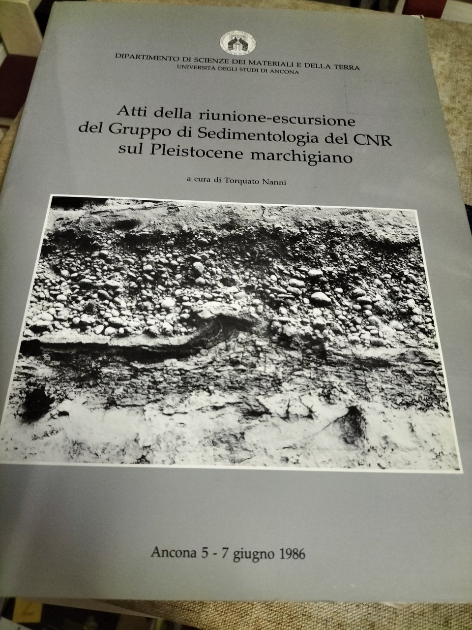 Atti della riunione escursione del gruppo di Sedimentologia del CNR …