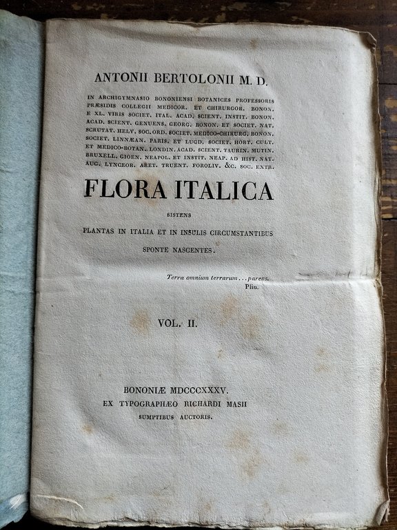 Flora Italica Volume II