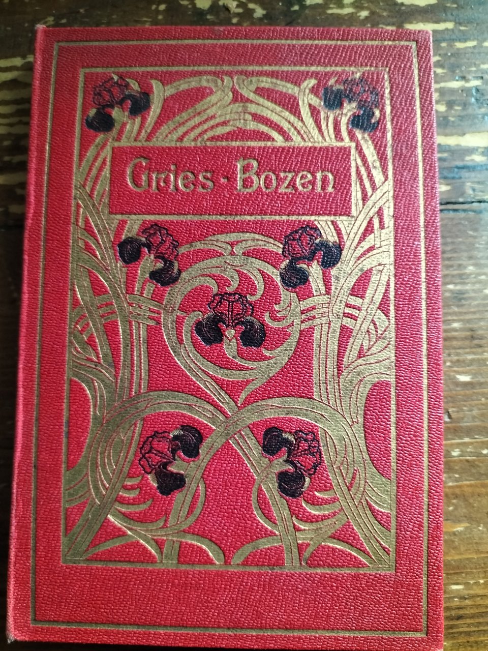 GRIES BOZEN 1897 STENGEL & CO. Dresden 12 cartoline Album …