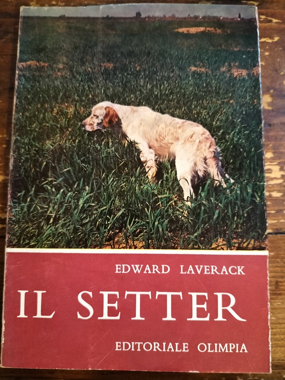 Il setter