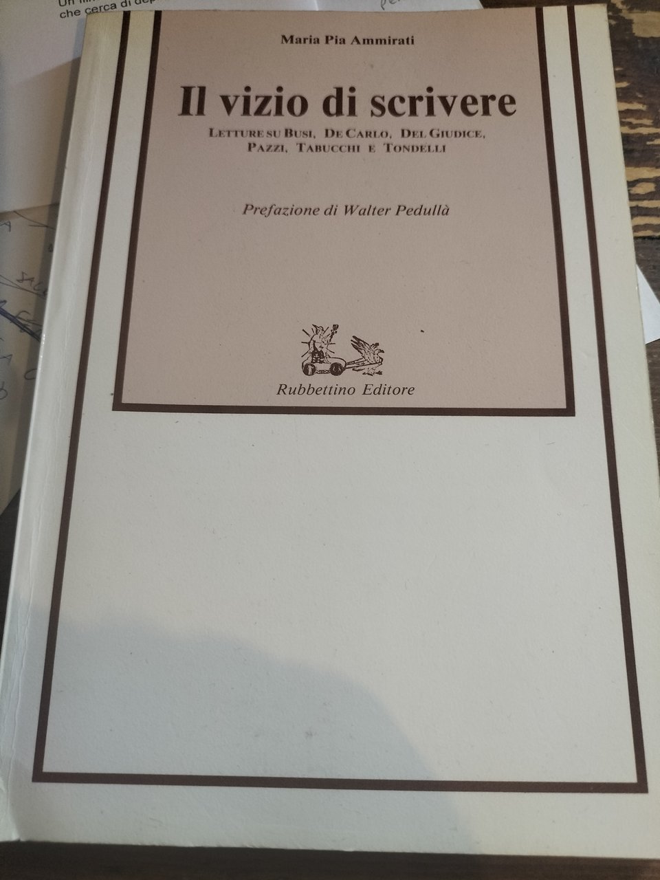 IL VIZIO DI SCRIVERE Maria P. Ammirati RUBBETTINO EDITORE Busi …