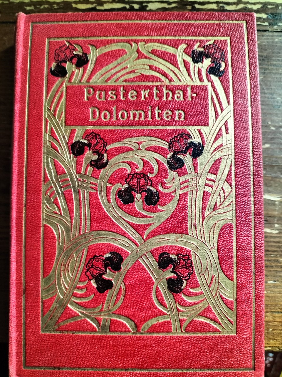 PUSTERTHAL DOLOMITEN 1897 STENGEL & CO. Dresden 12 cartoline Album …