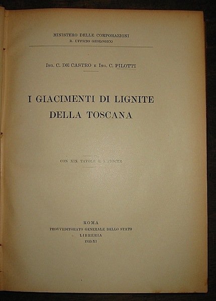 I giacimenti di lignite della Toscana