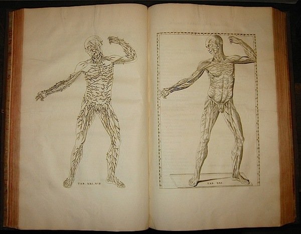 Explicatio tabularum anatomicarum Bartholomaei Eustachii, anamotici summi. Auctor recognovit, castigavit, …