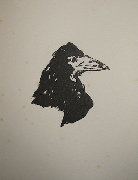 The Raven. Testo originale seguito dalla traduzione di Stéphane Mallarmé …