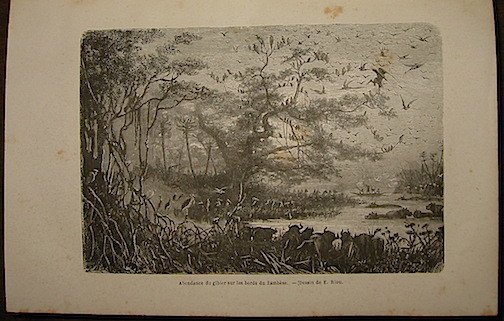 Explorations du Zambese et de ses affluents et découverte des …
