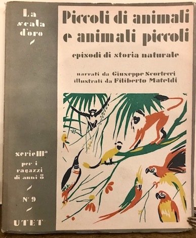 Piccoli di animali e animali piccoli. Episodi di storia naturale