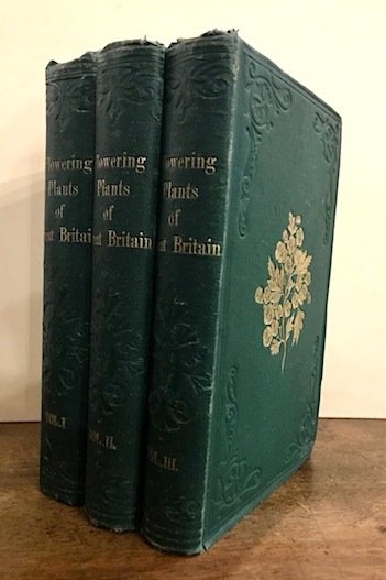 The flowering plants of Great Britain. Vol. I (. Vol. …