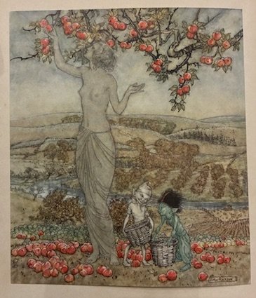 A dish of apples. with illustrations by Arthur Rackham