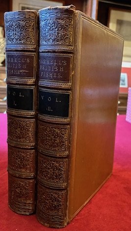 A History of British fishes. Third edition edited by sir …