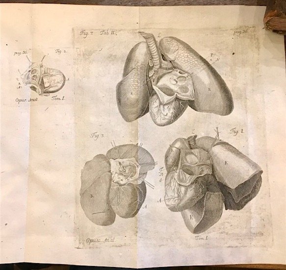 Alberti v. Haller Opera minora emendata, aucta, et renovata. Tomus …
