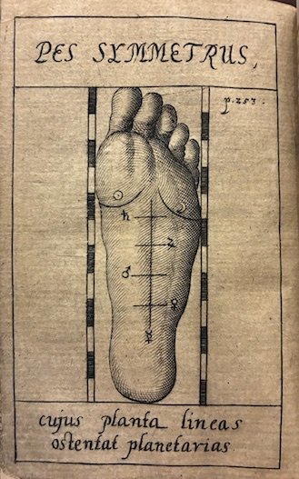 Anthropometria, sive De mutua membrorum corporis humani proportione, & Naevorum …