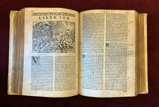 Biblia sacra ad optima quaeque veteris, ut vocant, tralationis exemplaria … | Immagine Gallery 3