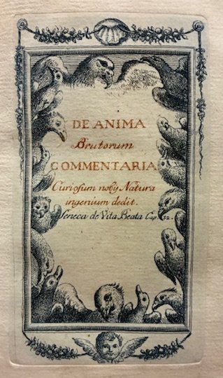 De anima brutorum Commentaria curiosum nobij natura ingenium dedit | Immagine Gallery 2