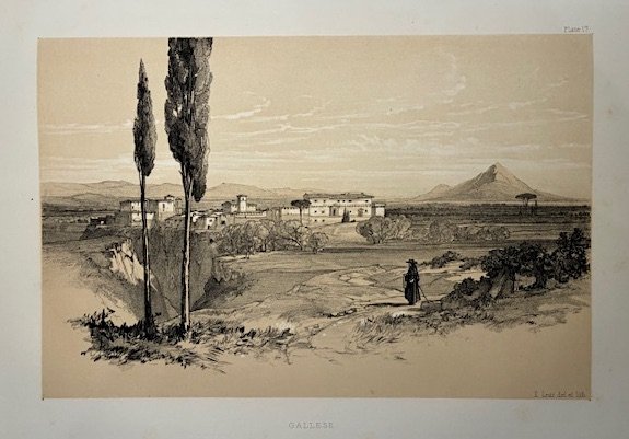 Gallese | Immagine principale