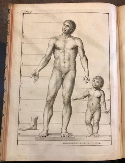 Istruzione elementare per gli studiosi della scultura di Francesco Carradori …
