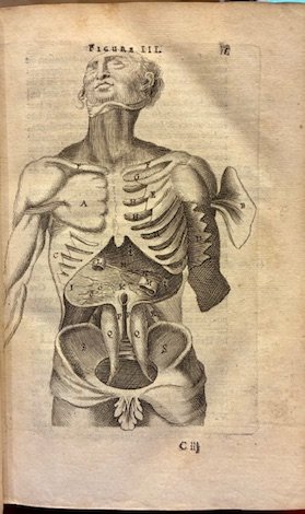 L’Anatomie du corps humain avec ses maladies. Troisieme edition revue …