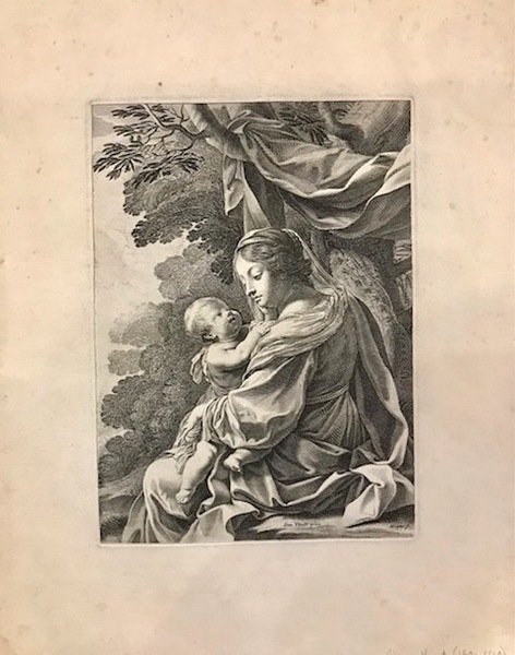 (Madonna con Gesù bambino)