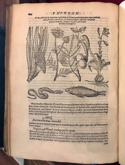 Phytognomonica. Io Baptistae Portae Neap. Octo libri contenta. In quibus …