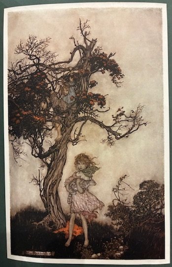 Rip Van Winkle. with drawings by Arthur Rackham