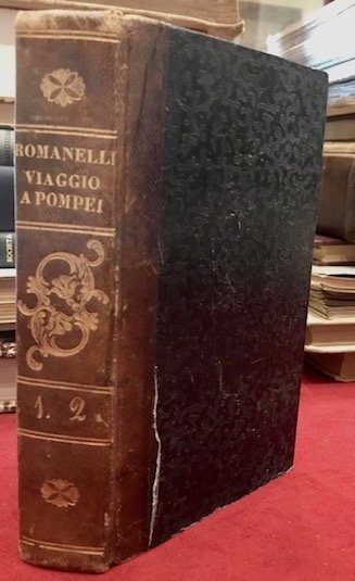 Viaggio a Pompei a Pesto e di ritorno ad Ercolano …