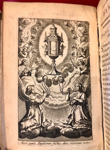 Viridarium Marianum. Varijs rosariorum, exercitiorum, exemplorumque, plantationibus peramoenum. In gratia …