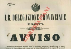 Regolamentazione sulle abusive piantaggioni d'alberi lungo le arginature dei fiumi. | Immagine Gallery 1