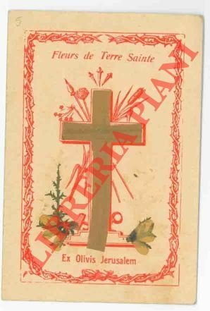 Fleurs de Terre Sante. Ex Olivis Jerusalem.