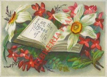 Frasi bibliche con fregi e decorazioni a fiori e festoni. | Immagine Gallery 1