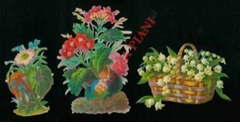 Mazzi di fiori.