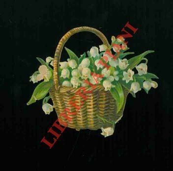 Vasi con fiori.