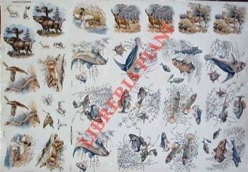 Vetrofania anni '50.