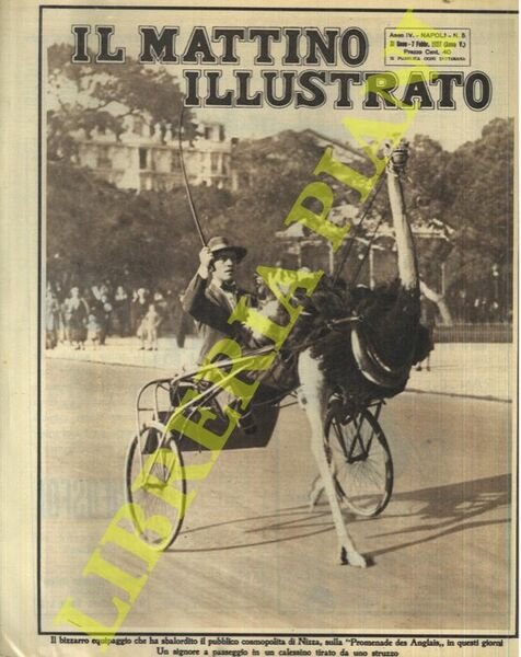 A Nizza un signore a passeggio con calessino tirato da …