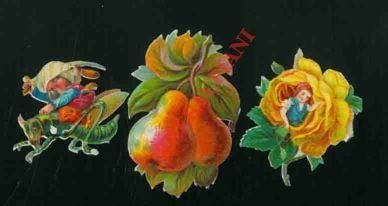 Alberi, frutta, ecc.