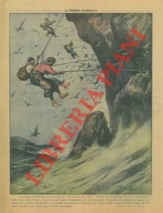 Caccia alla 'sula' sulle pareti rocciose a picco sul mare, …