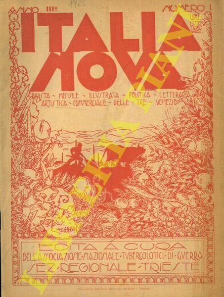 Italia nova. Rivista mensile illustrata politica, letteraria, artistica e commerciale delle Tre Venezie.