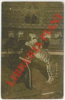 Hektor, domatore con leoni e tigri.