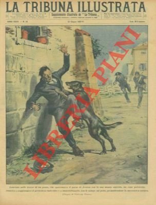 Lanciato sulle tracce di un pazzo, che spaventava il paese di Aversa con la sua mania omicida, un cane poliziotto riusciva a raggiungere il pericoloso individuo e a immobilizzarlo, con le zampe sul petto, permettendone la successiva cattura.