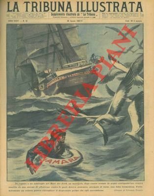 In seguito a un naufragio nel Mare del Nord, un …