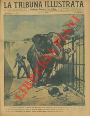 Al Giardino zoologico di Basilea, un guardiano stava porgendo il …